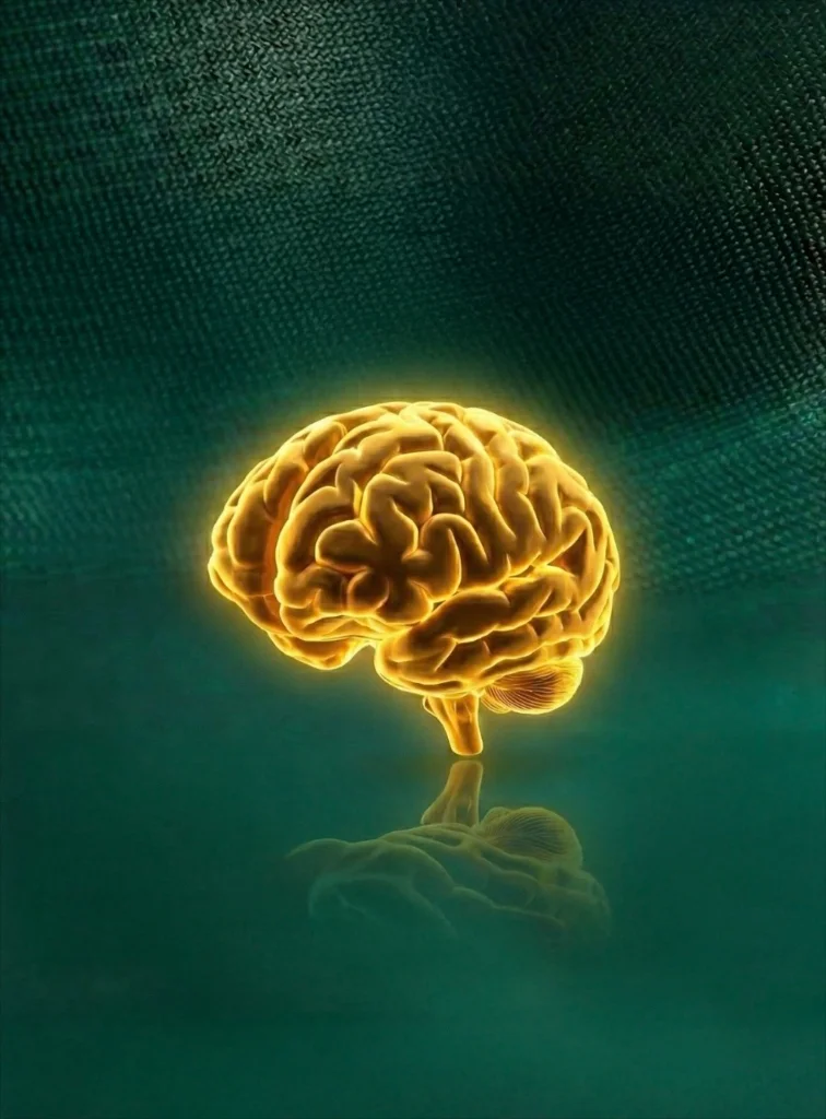 The Brain Hacker